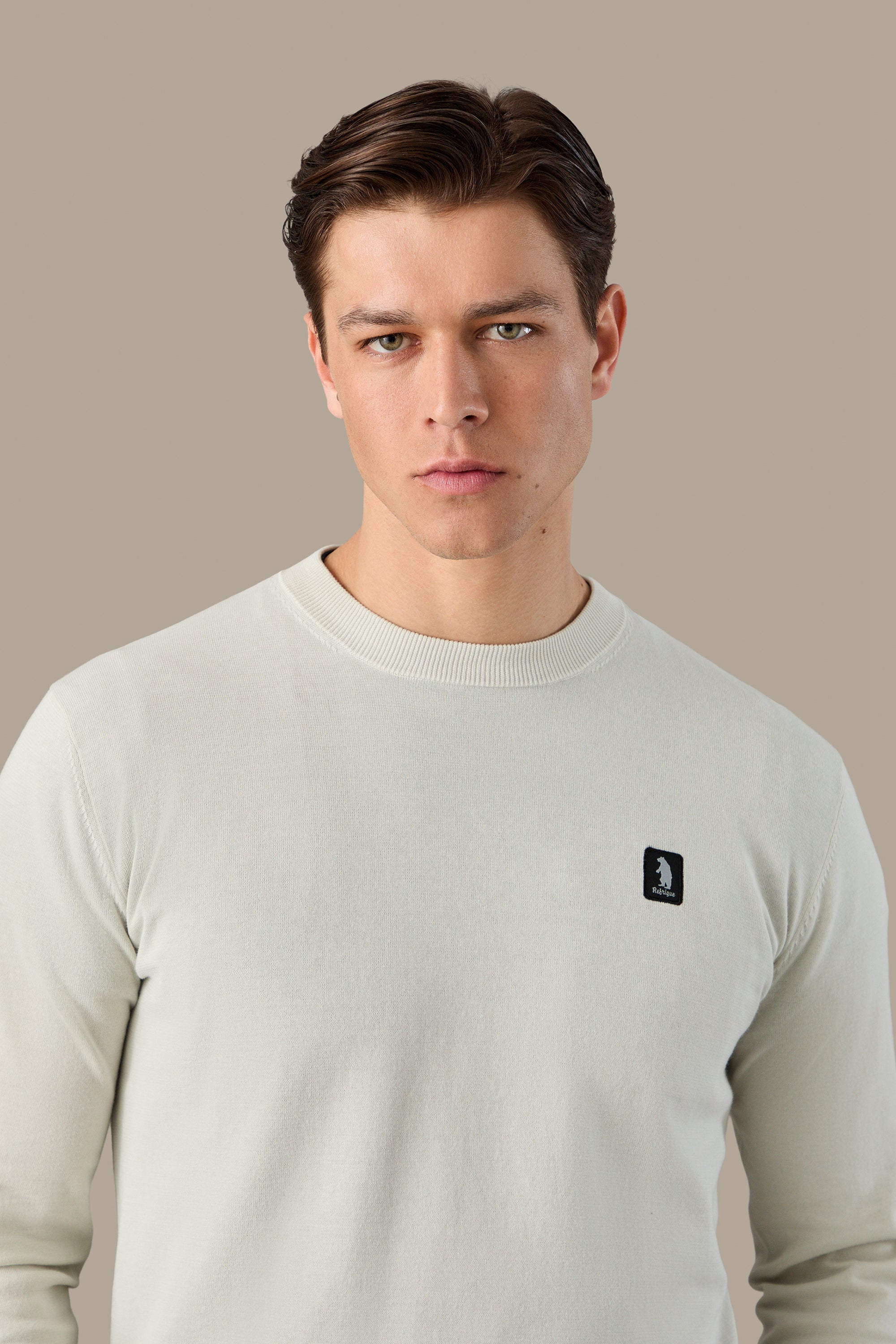 Refrigue Crewneck Icon